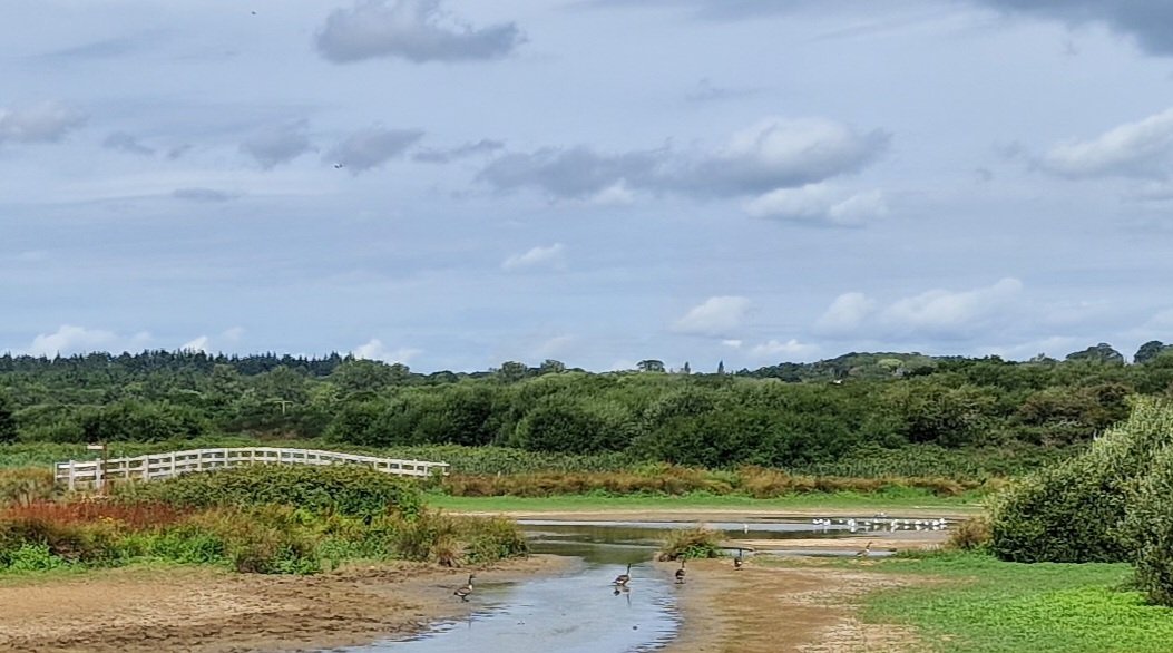 pickingill's tweet photo. #bembridgedown #brading https://t.co/tkaNriwM81