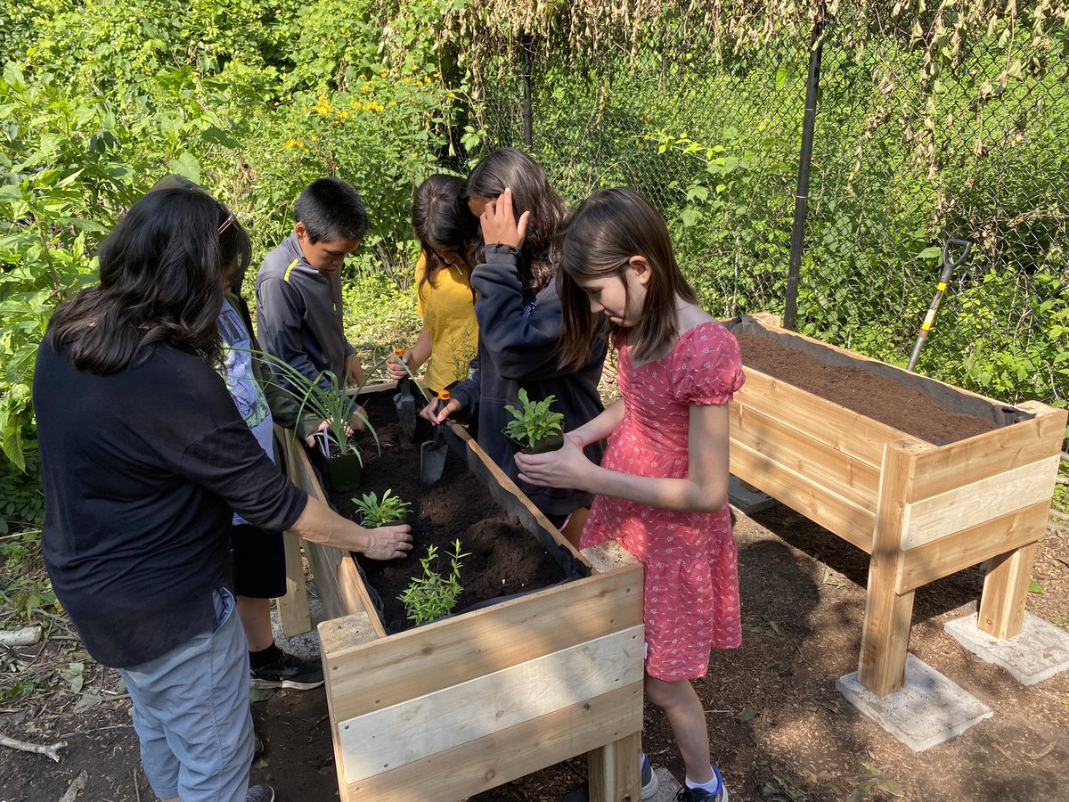 Getting the last preparations in on our planter box constructions! <a href="/CampMigizi/">campmigizi</a>  <a href="/OjibwayPrairie/">OjibwayNatureCentre</a> <a href="/gecdsbpro/">GECDSB PR</a> <a href="/TinaDeCastro1/">Tina DeCastro</a> <a href="/joseph745613165/">Zozep</a> #GECDSBSLP2023