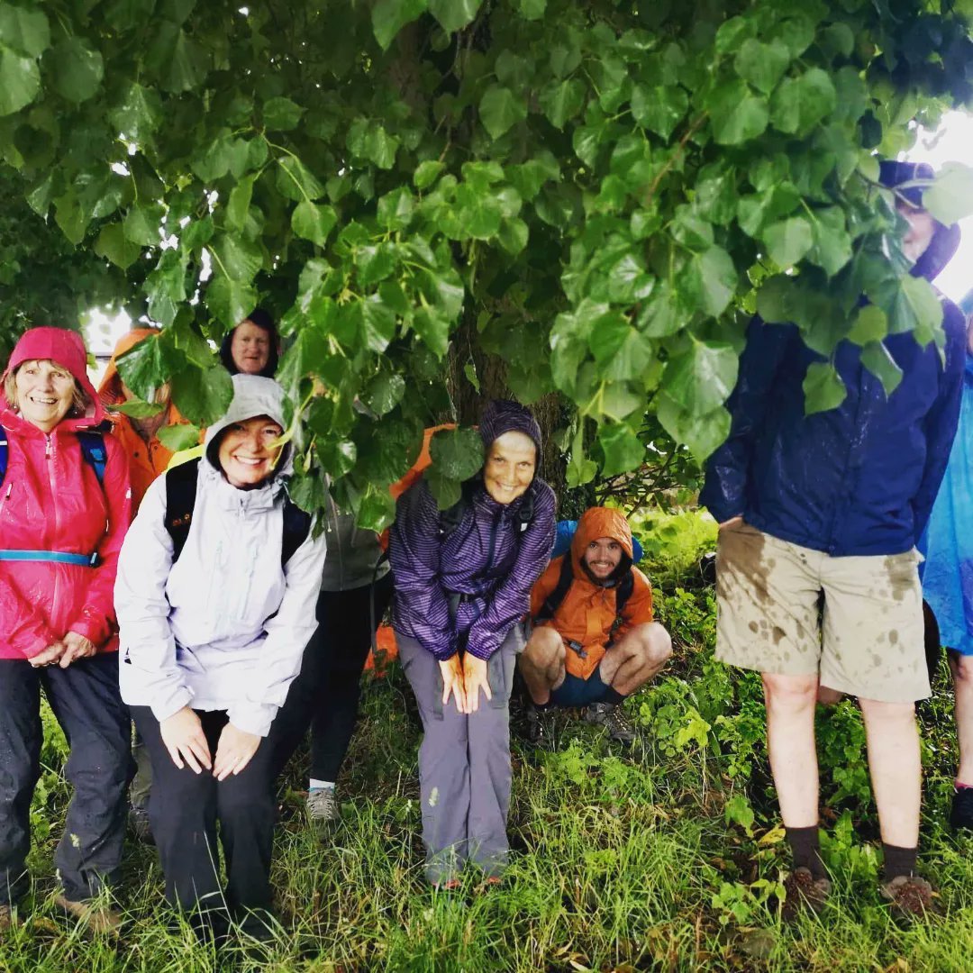 Waterfordcamino's tweet photo. The clouds parted and the light shone brightly along St Declan's Way 🍀🌥️#irishcamino #camino #pilgrimpath #ireland #walking #travel #tourism #fillyourheartwithireland #nature #castles #mountains https://t.co/aw0xUiq2UX