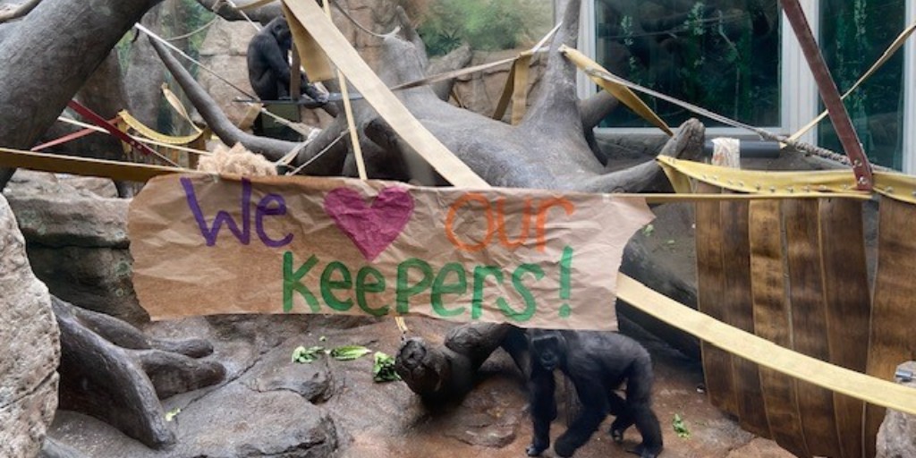 Happy National Zookeeper Week, from our troop to yours! #NZKW2023 #StlZoo