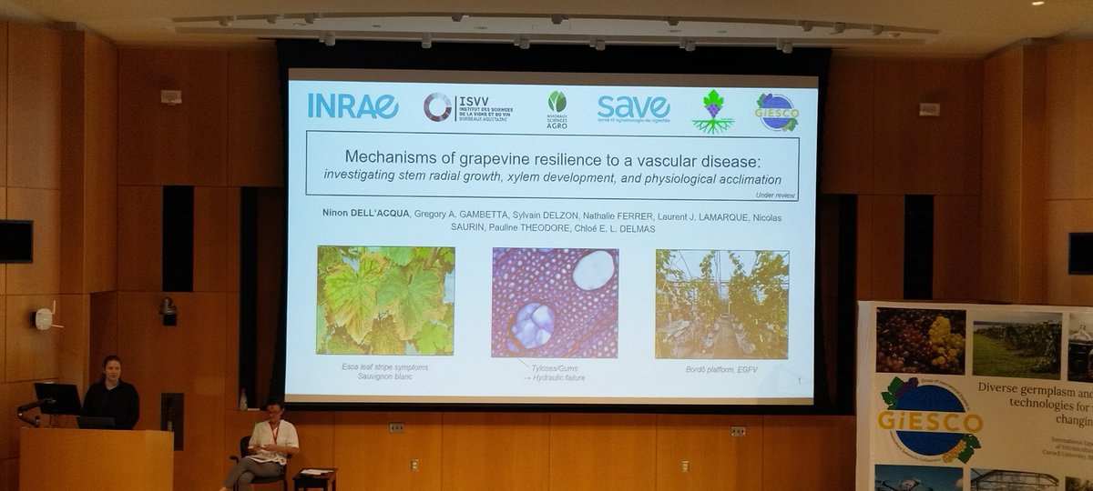 Corinne Vacher (@corinne_vacher) on Twitter photo #GIESCO Congrats to <a href="/NinonDellAcqua/">Ninon Dell’Acqua</a> <a href="/inrae_save/">INRAE_SAVE</a> who gave her first talk in an international conference today! She presented the mechanisms of #grapevine #resilience to ESCA. Results were obtained in collaboration with <a href="/cel_delmas/">Chloé Delmas</a> @SDelzon <a href="/gregorygambetta/">Gregory Gambetta</a> <a href="/INRAE_NA_BDX/">INRAE Nouvelle-Aquitaine Bordeaux</a> #GIESCO Congrats to <a href="/NinonDellAcqua/">Ninon Dell’Acqua</a> <a href="/inrae_save/">INRAE_SAVE</a> who gave her first talk in an international conference today! She presented the mechanisms of #grapevine #resilience to ESCA. Results were obtained in collaboration with <a href="/cel_delmas/">Chloé Delmas</a> @SDelzon <a href="/gregorygambetta/">Gregory Gambetta</a> <a href="/INRAE_NA_BDX/">INRAE Nouvelle-Aquitaine Bordeaux</a>