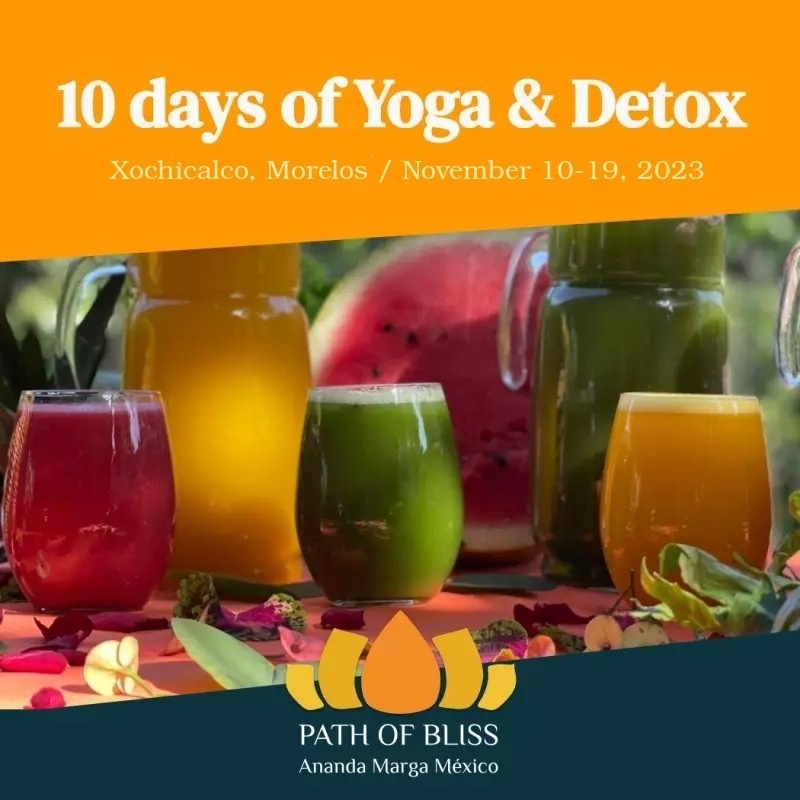 themonkdude's tweet image. Join me for a rejuvenating yoga detox retreat in Mexico in November! bit.ly/46QTRwP