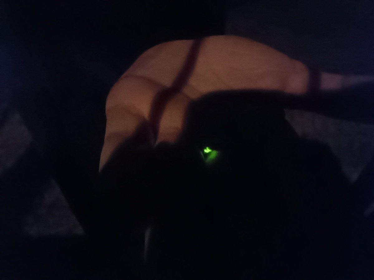 Roger OS tweet media