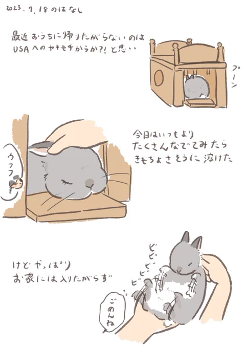 おやつで入ってくれるといいんですが…🏠

#うさぎのいる生活 
