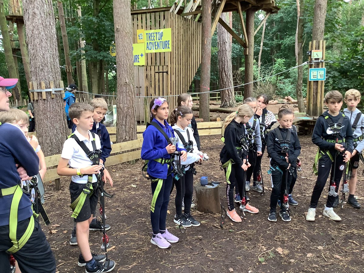 MPS_Y5's tweet photo. Year 5 have loved their Go Ape adventure in the trees today! #fearless https://t.co/0dtG98WAuC
