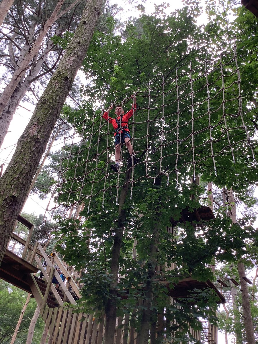 MPS_Y5's tweet photo. Year 5 have loved their Go Ape adventure in the trees today! #fearless https://t.co/0dtG98WAuC