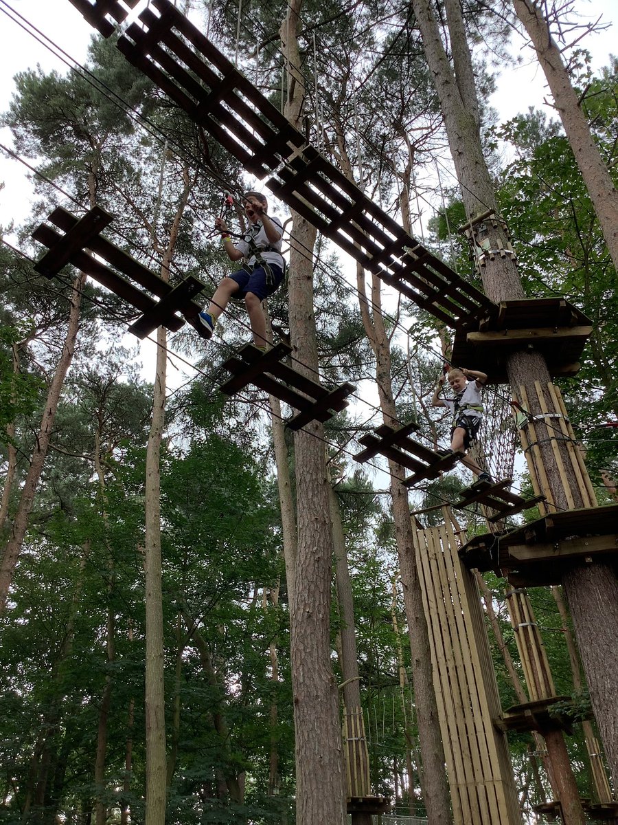MPS_Y5's tweet photo. Year 5 have loved their Go Ape adventure in the trees today! #fearless https://t.co/0dtG98WAuC