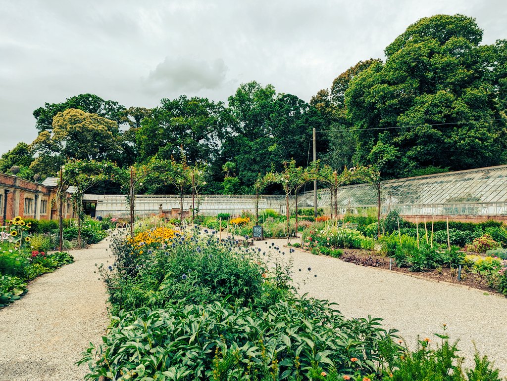 Dr Miranda Garrett tweet media