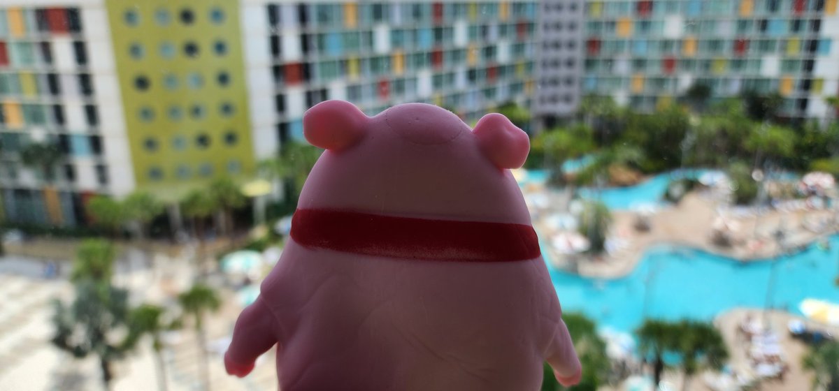 stupidiotpig's tweet photo. Pool time!!! I hope this moron @beastupidgamer doesn't let me drown. ๐๐ท #stupidiot #vacation #pigsoftwitter @Echo_Naenia @MAJ_Madden @matbookworm2 https://t.co/ypaybnyAZg