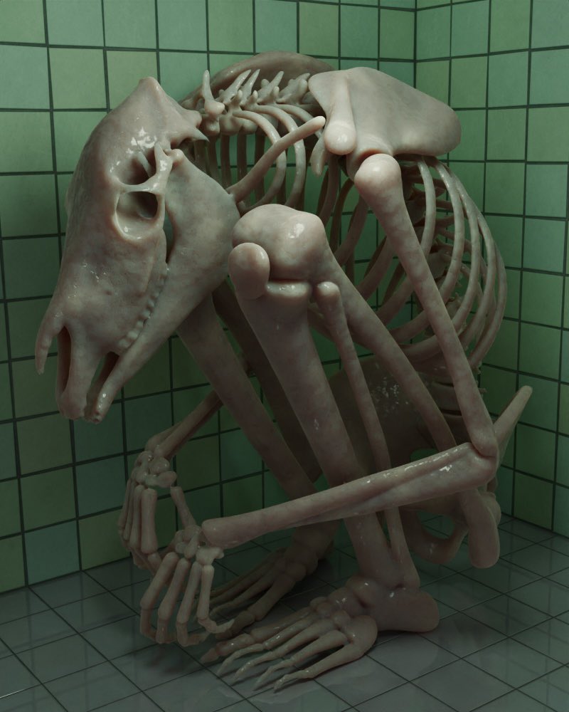 CrabCreatures's tweet image. Please remember to clean your bones properly when you bathe. Stop ignoring proper bone care.
