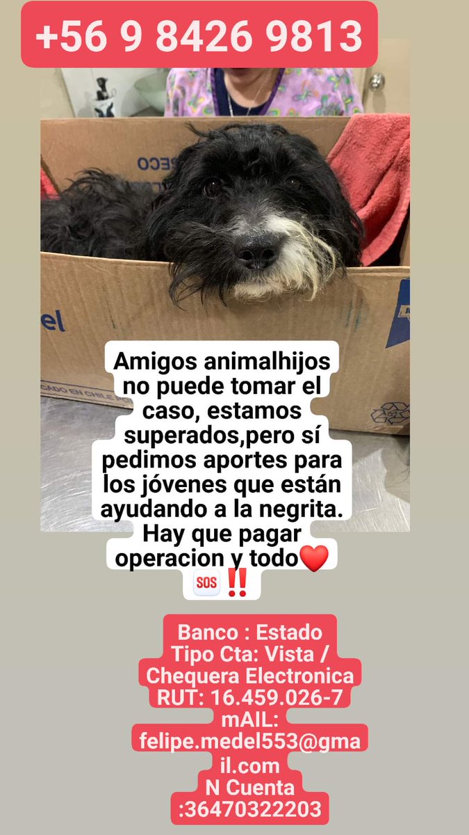 mariadanielayf's tweet photo. Pedimos aportes para negrita atropellada quilicura!
Dificil pero no imposible🙏‼️🆘️
Como agrupación no podemos tomar el caso pero si queremos difundirlo para que ella reciba ayuda y pueda ser operada.#GranHermanoChile #quilicura #Ayuda https://t.co/iS3x49pt5V