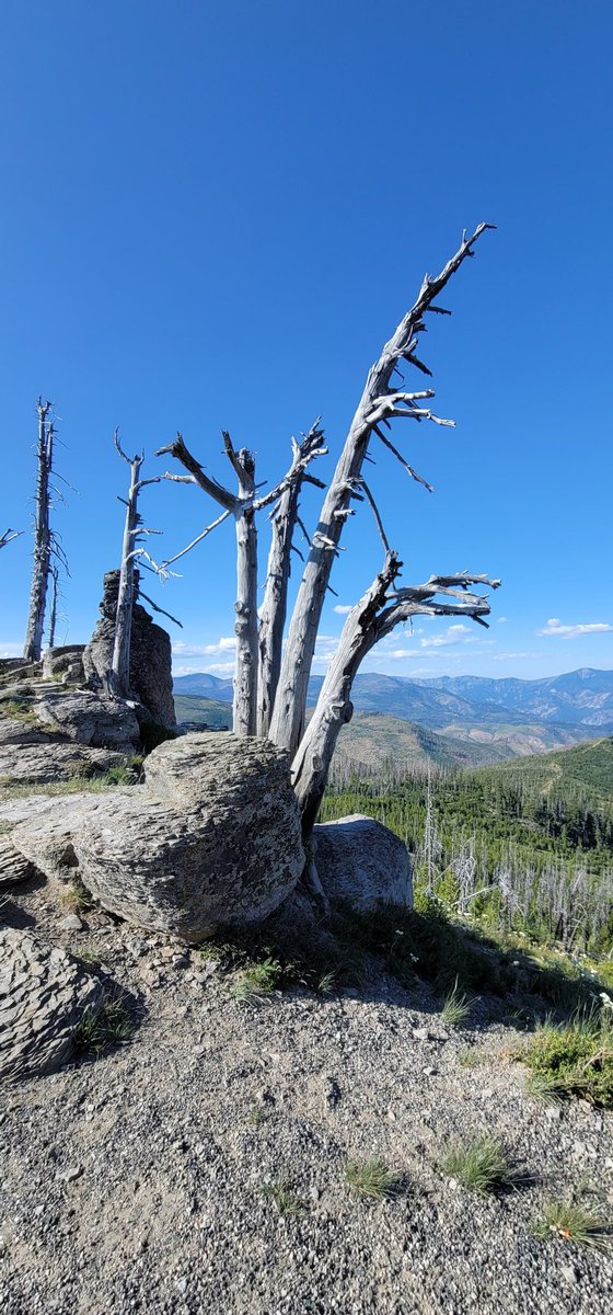TheRambler1941's tweet photo. Nature is amazing!
#NaturePhotography 
#jeep 
#jeeplife 
#foxshocks 
#tenfactory 
#rcvperformance https://t.co/jSr4GV5qLC
