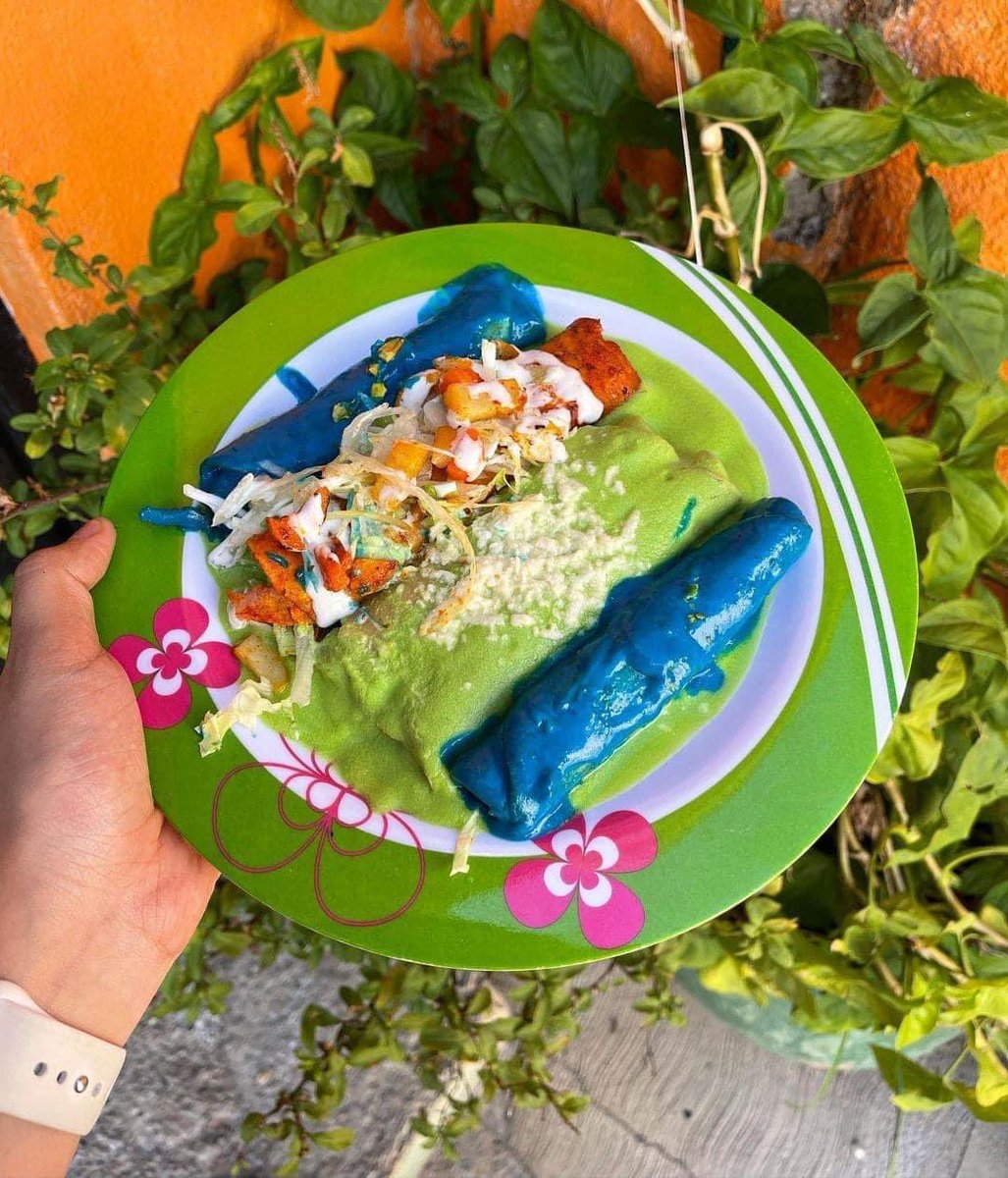 SECTUR_mx's tweet photo. Si las enchiladas son deliciosas... ¡Ahora imagínalas de colores! ❤️🧡💛💚💙💜
En #Zacatecas podrás encontrar auténticas obras de arte, las enchiladas de habanero, almendra, aguacate, chile y más. 🤤🍽️
¿Cuáles vas a pedir? 🤩
#MéxicoEsTurismo 🇲🇽 #AlViajarSumas https://t.co/Oh1wrvLlwH