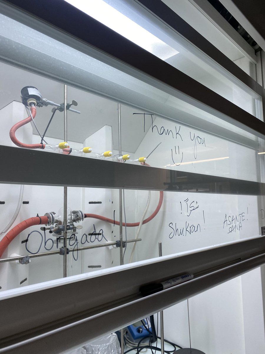 FlaviaSousaSci's tweet photo. Working in the lab with my students be like 🥰

Portugal, Jordan and Tanzania 🍀✨
@FatimaHameedat 
@RomanFortunatus https://t.co/MRCMlfDv04