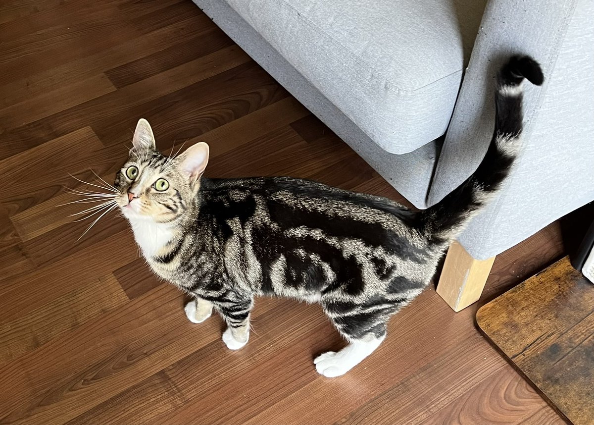 val, a pal tweet media