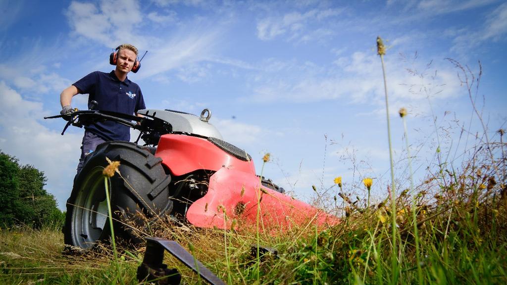 Mooie promo ochtend 📸 fijn dat de Grauwe Klauwier zich zo makkelijk liet vinden en met jong 😄
