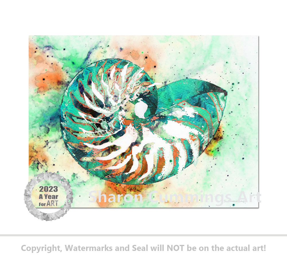 Terracegallery's tweet photo. Aqua Coral Nautilus Shell HERE:  https://t.co/fIhoYdRjiZ #nautilusshell #shells #seashells #art #artwork #nature #beach #beachlife #beachvibes #AYearForArt #BuyIntoArt #homedecor #interiordesign https://t.co/reRjQoMmpt