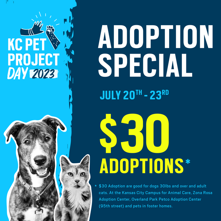 KC Pet Project tweet media
