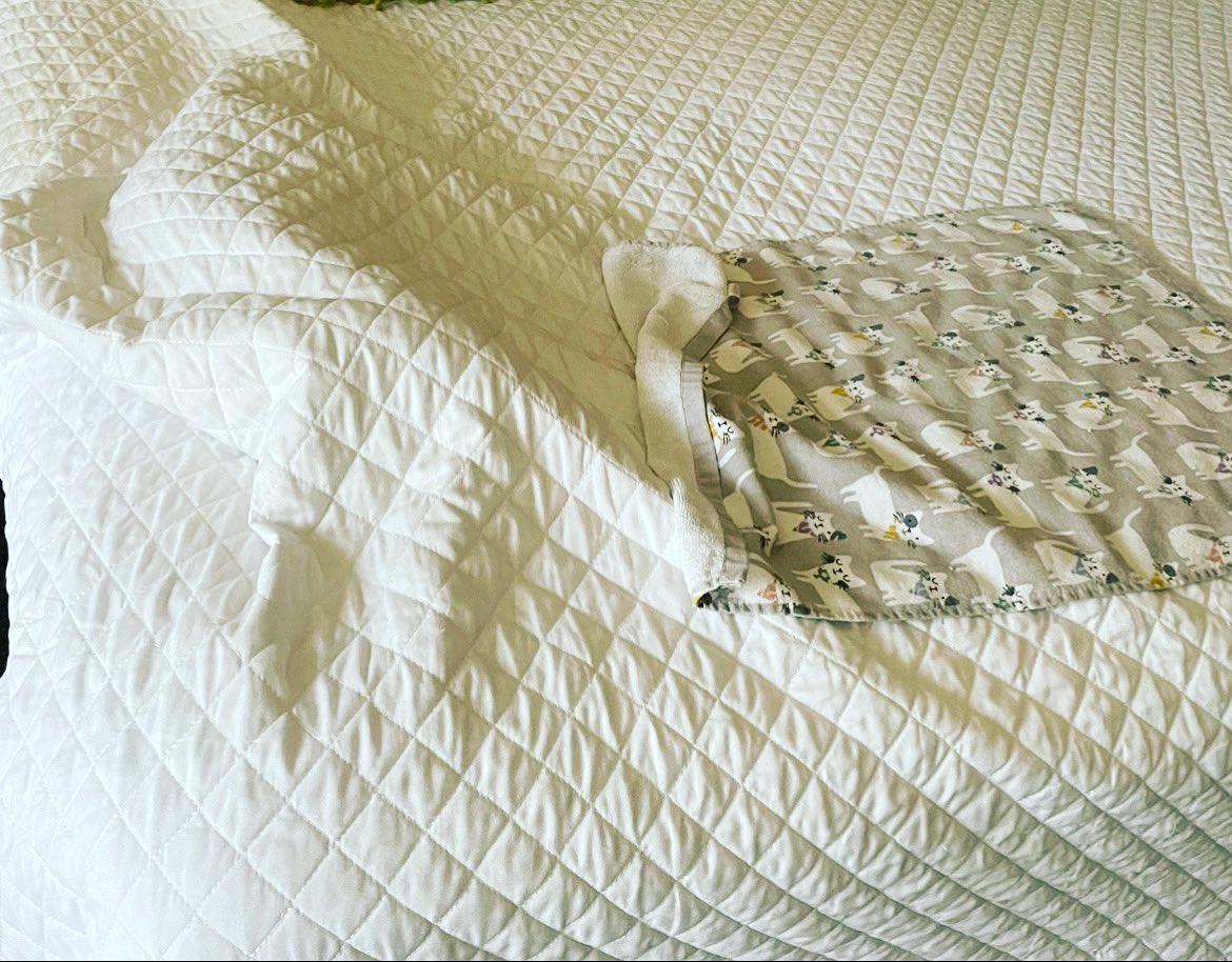 ClariceFox4's tweet photo. Stage 17: This is the final week of the Tour de Couch, every detail matters. Legacy lost marks in the Concealment Category last week but he examined his failure &amp; pulled victory from the jaws of defeat. Total concealment, Total success #conquerthecourse #tourdecouch2023 #golegacy https://t.co/Zhd1voZBhE