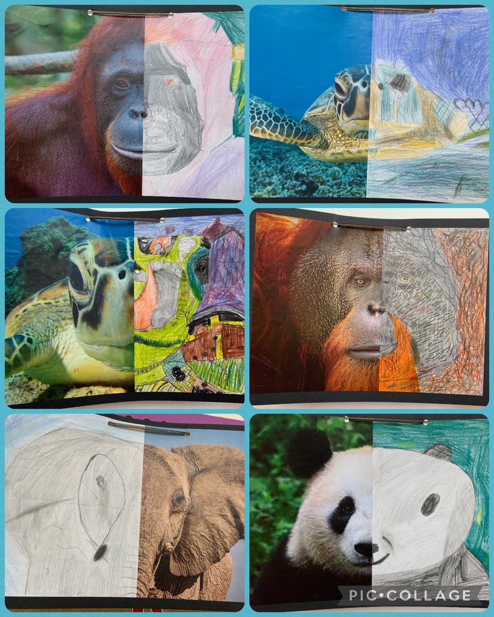 Miss Whitehouse Dosbarth Glas tweet media