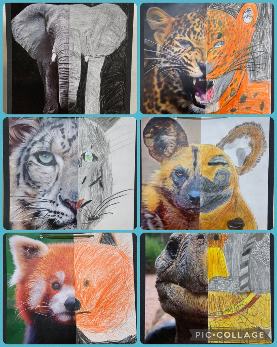 Miss Whitehouse Dosbarth Glas tweet media