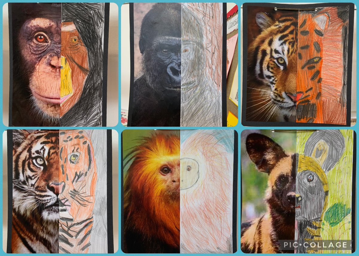 Miss Whitehouse Dosbarth Glas tweet media