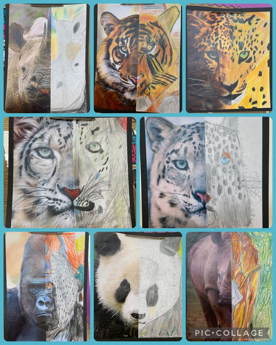 Miss Whitehouse Dosbarth Glas tweet media