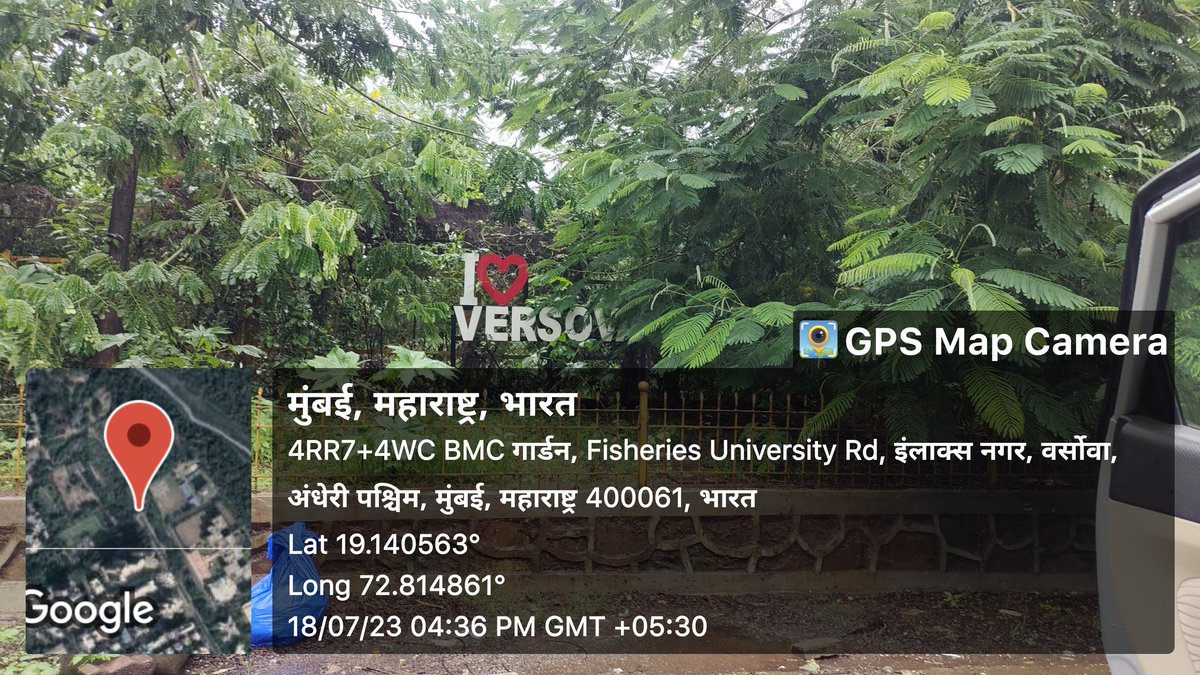 todaysvoice24nz's tweet photo. Selfie Point "#ILoveVersova" fully covered with the #branches of #trees.
Request #ElectedRepresentative and @mybmcwardKW to pls visit this place.
Location - #PanchMarg, #YariRoad, #AndheriWest
.
@mybmc @IqbalSinghChah2 @LavekarBharati @GajananKirtikar @mybmcGardens @mybmcSWM https://t.co/W0TtfWfLmE