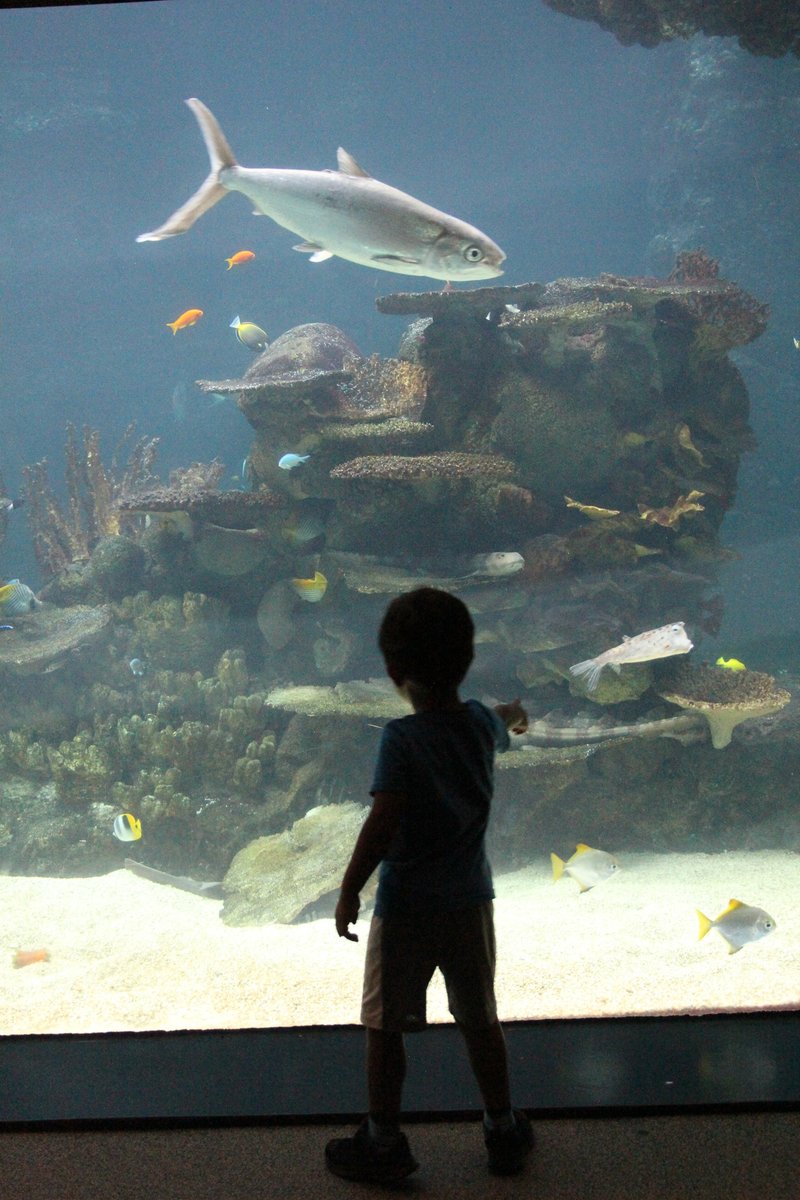 DakotaElec's tweet image. Our members are the best! Once again, thank you so much to the 5000+ attendees who showed up for our annual Member Appreciation Event at the Minnesota Zoo. You made the evening a roaring success and here are some the pictures to prove it.
#memberappreciation
#mnzoo