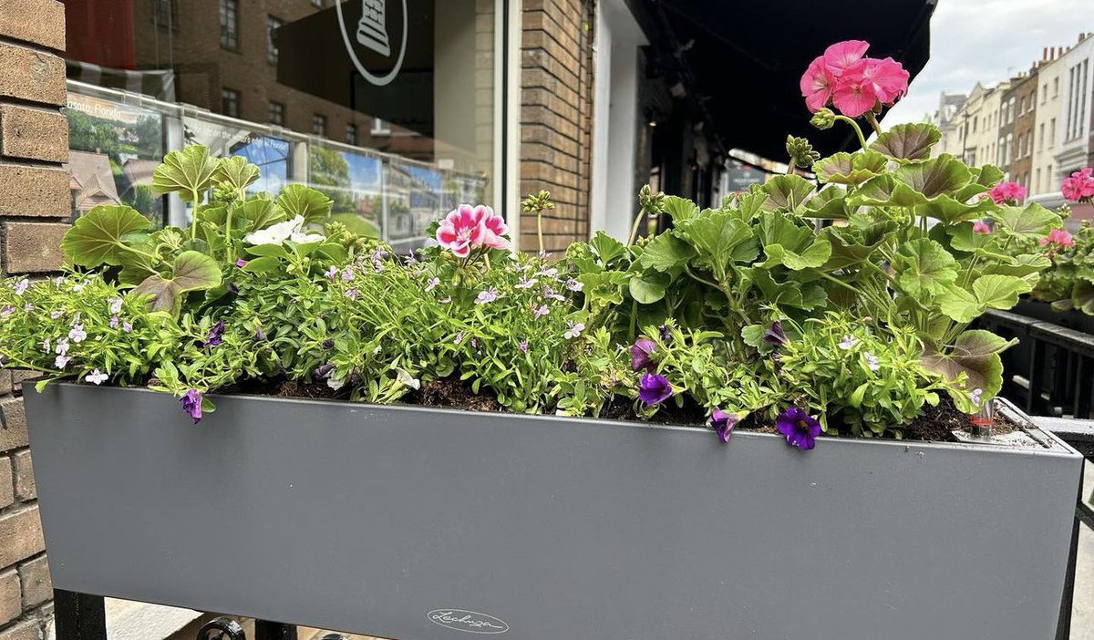 Mayfairofficial_ tweet media