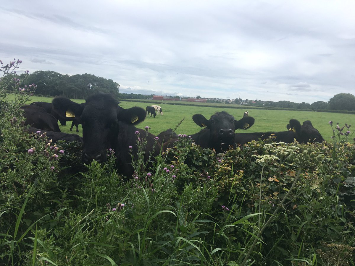 SiobhanHogg's tweet image. You all know I LOVE a walking meeting. Had a slightly different audience today listen to me wax lyrical about the benefits of @CSSC_Official membership. #MyCSSC