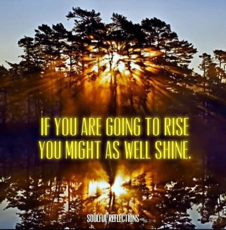 The Calabash Hub tweet media