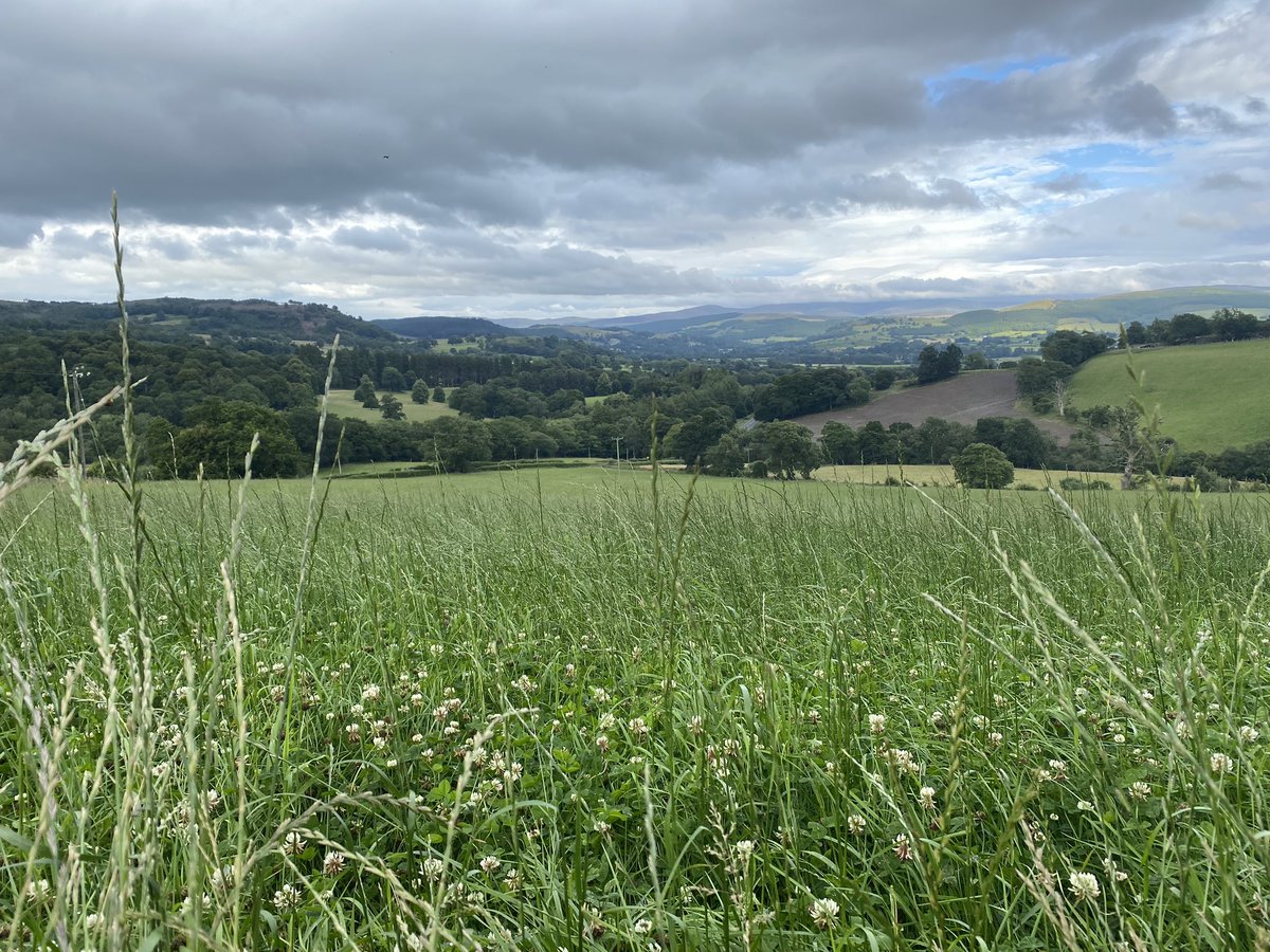 RachMD2's tweet photo. From this to this today π
So important to me that I can walk the talk in terms of sustainable farming systems #theWelshWay https://t.co/ks5ZuocebC