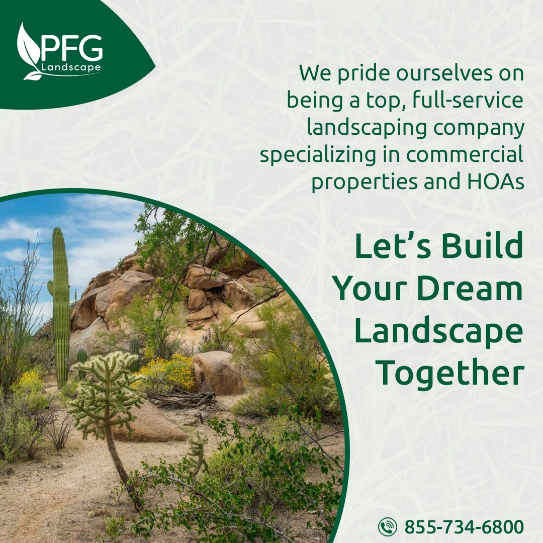 Experience the difference of working with a trusted industry leader. We have a proven track record of creating breath-taking landscapes that impress clients and boost property value. 🌅💼

peterferrandinogroup.com

#PFGLandscape #landscapingservices #PhoenixArizona