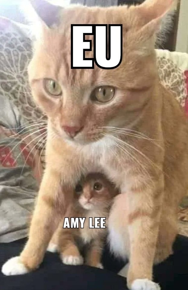 Jsoturna's tweet image. pela Amy Lee eu dou a minha vida graças deus