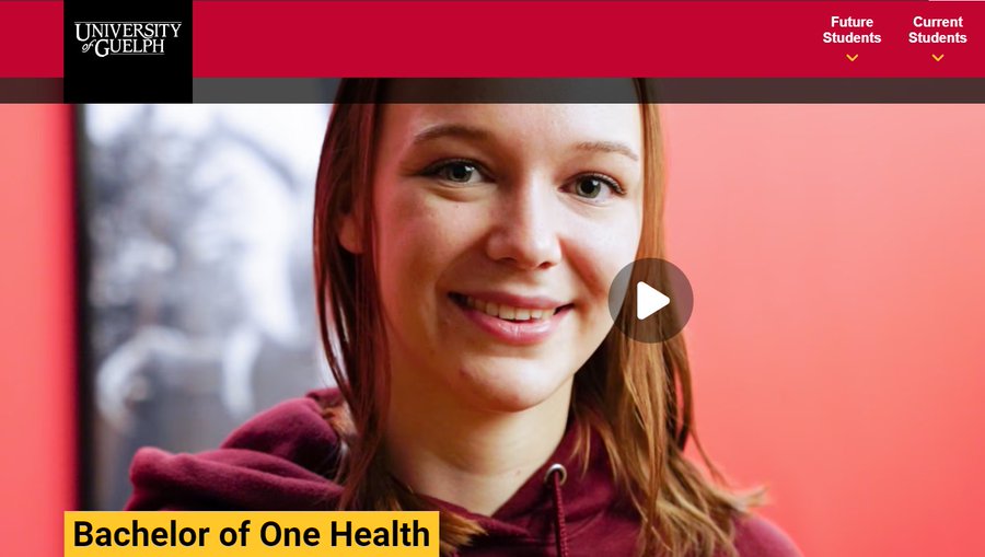 One Health - U of Guelph (@onehealthuofg) on Twitter photo Interested in the new Bachelor of #OneHealth degree program at the University of Guelph? If so, watch this video featuring PhD student <a href="/gracenichol_/">Grace Nichol</a> & Dr. @KatieClow1 : tinyurl.com/bde42zk3
For admission requirements & program info, visit: tinyurl.com/4vh8vaz4 Interested in the new Bachelor of #OneHealth degree program at the University of Guelph? If so, watch this video featuring PhD student <a href="/gracenichol_/">Grace Nichol</a> & Dr. @KatieClow1 : tinyurl.com/bde42zk3
For admission requirements & program info, visit: tinyurl.com/4vh8vaz4
