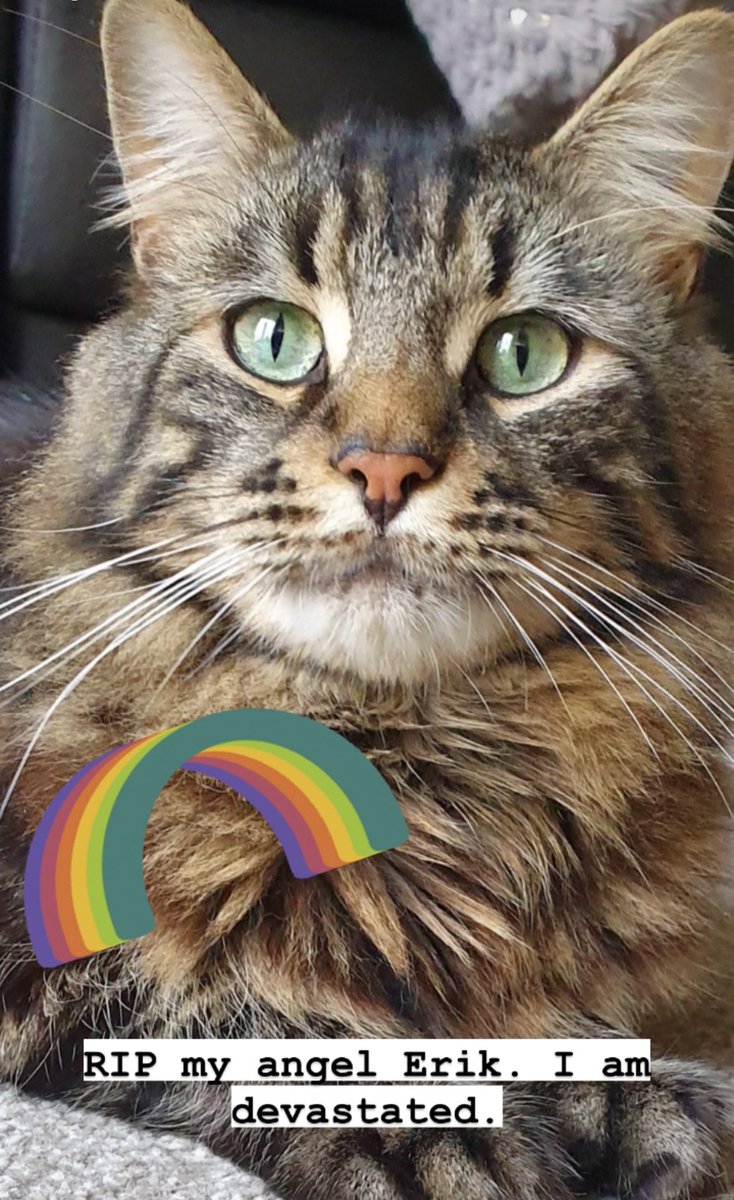 Rip my best boy