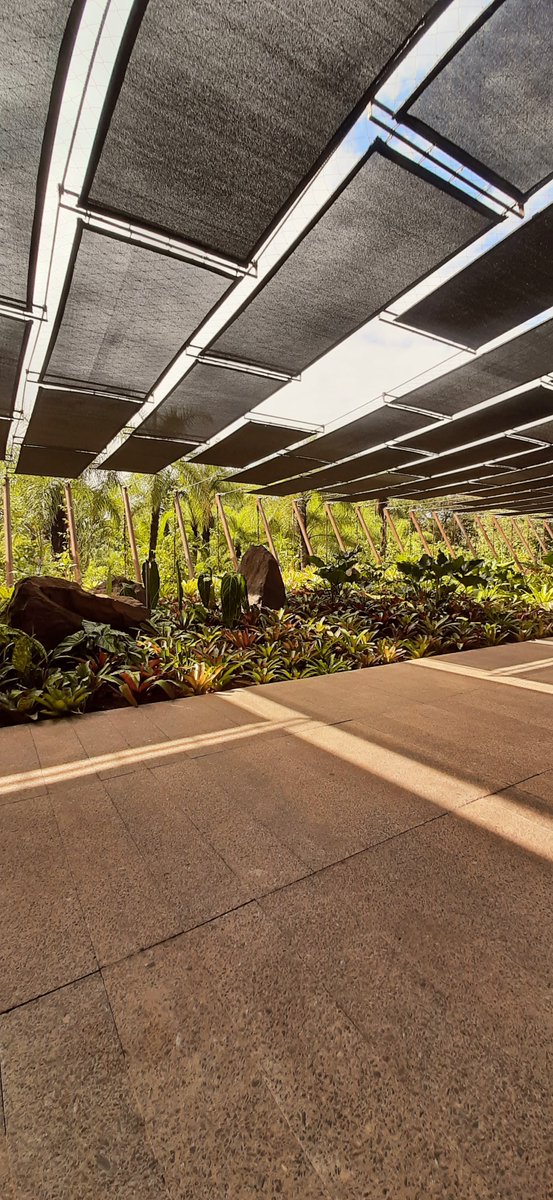 fpcamp's tweet image. Registros da Nova Galeria-Praça Yayoi Kusama 
@inhotim
Arquitetura: Fernando Maculan + Maria Paz
Paisagismo: Juliano Borin