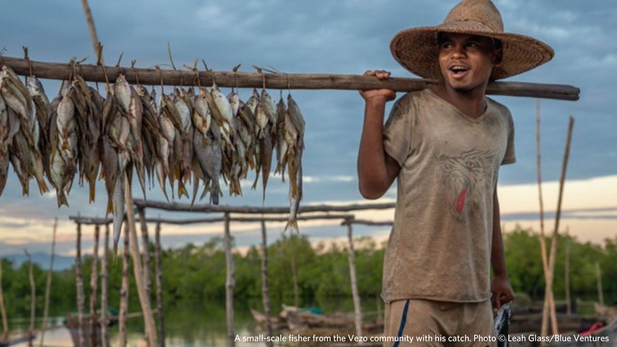 🔆 Along the southwest coast of Madagascar, @blueventures is partnering with the community to boost #marineconservation through #socialresilience. Learn how:
reefresilience.org/case-studies/m… #reefresilience #Velondriake #LMMA