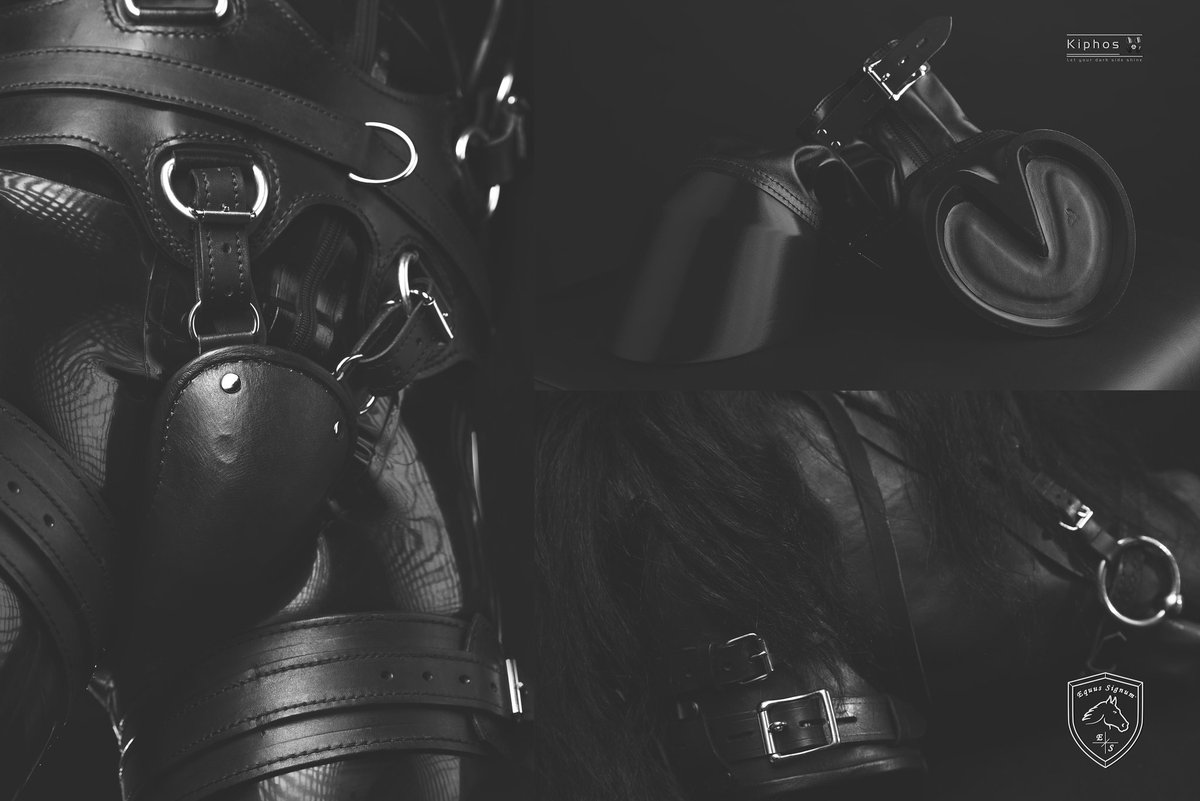 SignumEquus's tweet image. Lockable, lockable, lockable! Escape isn&apos;t possible, you are trapped like pony forever 😈🐴 

Gear: etsy.com/shop/EquusSign…

#ponyplay #lockable #ponyhood #horsemask #ponyharness #horseharness #ponyhooves #latexpony #rubberpony