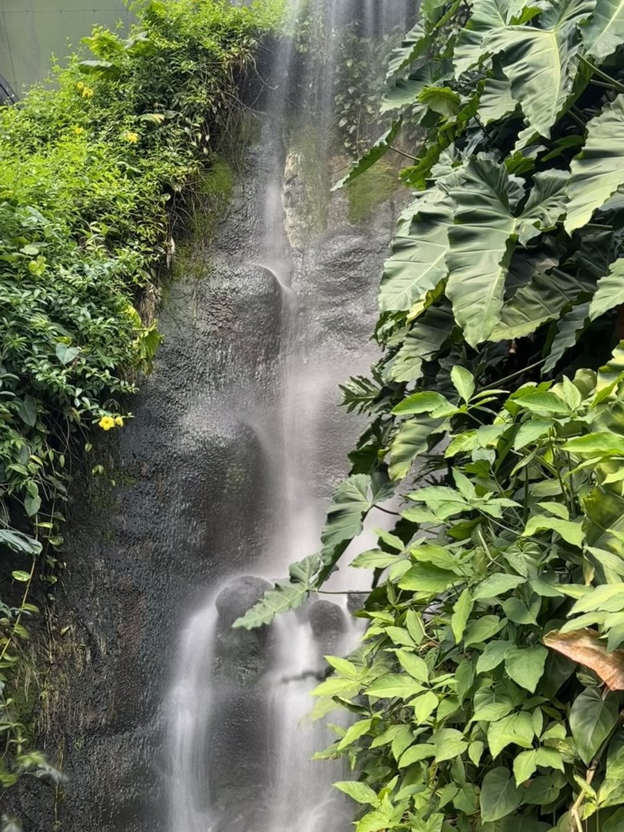 Nick Pritchard tweet media