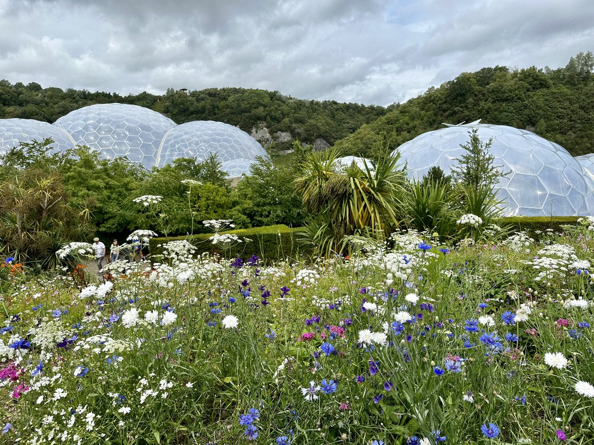 Nick Pritchard tweet media