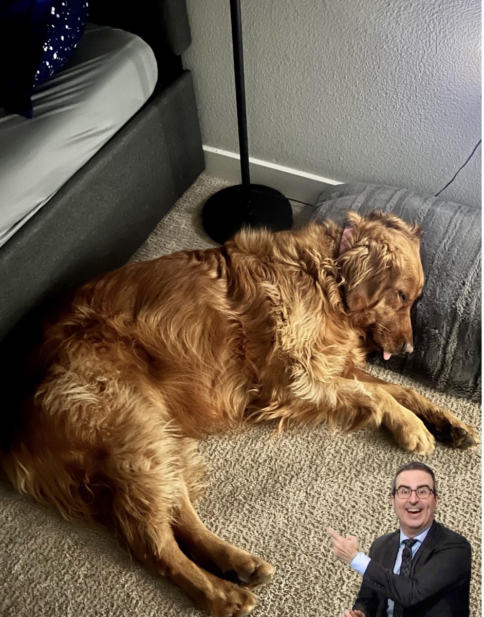 A happier day tweet media