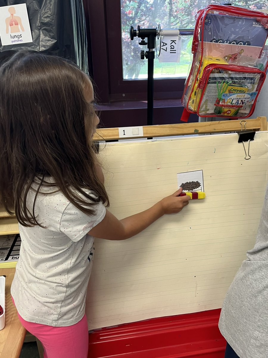 DanielleKall's tweet photo. Summer STREAM - week 1:  M is for Math! Students had fun measuring things around the room with cubes then recording their nonstandard measurements! @JamesburgPublic @Readinggirl73 @LynnZinser_5 @JenVanderburg @UnitedWayCJ https://t.co/X5Dc7dBfOQ