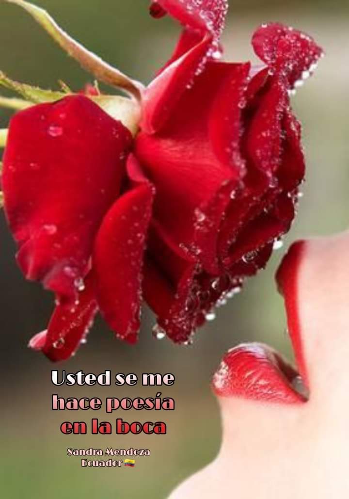 Buenas Tardes 😘

#PoesíaCantoALaHumildad
<a href="/NicolasMaduro/">Nicolás Maduro</a> <a href="/Mippcivzla/">mippci</a> <a href="/VTVcanal8/">VTV CANAL 8</a> <a href="/PartidoPSUV/">PSUV</a> <a href="/Neyda21708001/">Neyda</a> <a href="/neydaf1/">neydaf</a> <a href="/Gonzale1C/">Nelson H Gonzalez C</a> <a href="/jnicoliello/">julio nicoliello</a> <a href="/Nancy_pinto1/">nancy</a> <a href="/maykelsanchez23/">Chávez Por Siempre</a> <a href="/MayraPri21/">Mayra</a> <a href="/ElcideFlaca1953/">flaca elcide maria</a> <a href="/FrankAl32959605/">Frank Ernesto Martí</a> <a href="/M7809842Maria/">María</a> <a href="/arasme_benjamin/">José Benjamin Arasme</a> <a href="/JosRodi6/">Jose</a> <a href="/misdalis26/">misdalis</a>