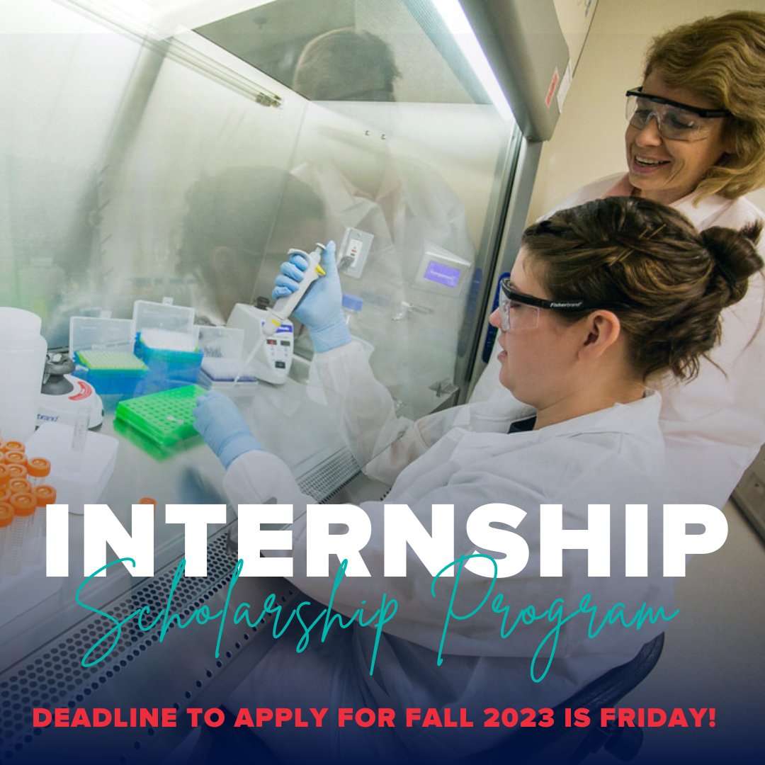 gsocpd's tweet image. Planning to do an internship or career-related experience this fall semester? The last day to apply for funding through the Internship Scholarship Program is this Friday! Visit GeorgiaSouthern.edu/ocpd for more info and to apply.