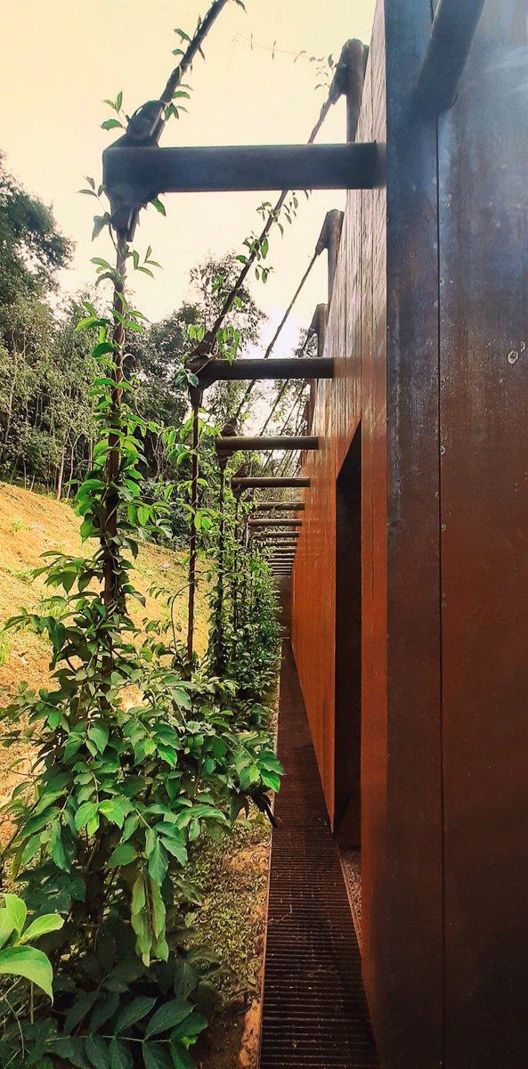 fpcamp's tweet image. Registros da Nova Galeria-Praça Yayoi Kusama 
@inhotim
Arquitetura: Fernando Maculan + Maria Paz
Paisagismo: Juliano Borin