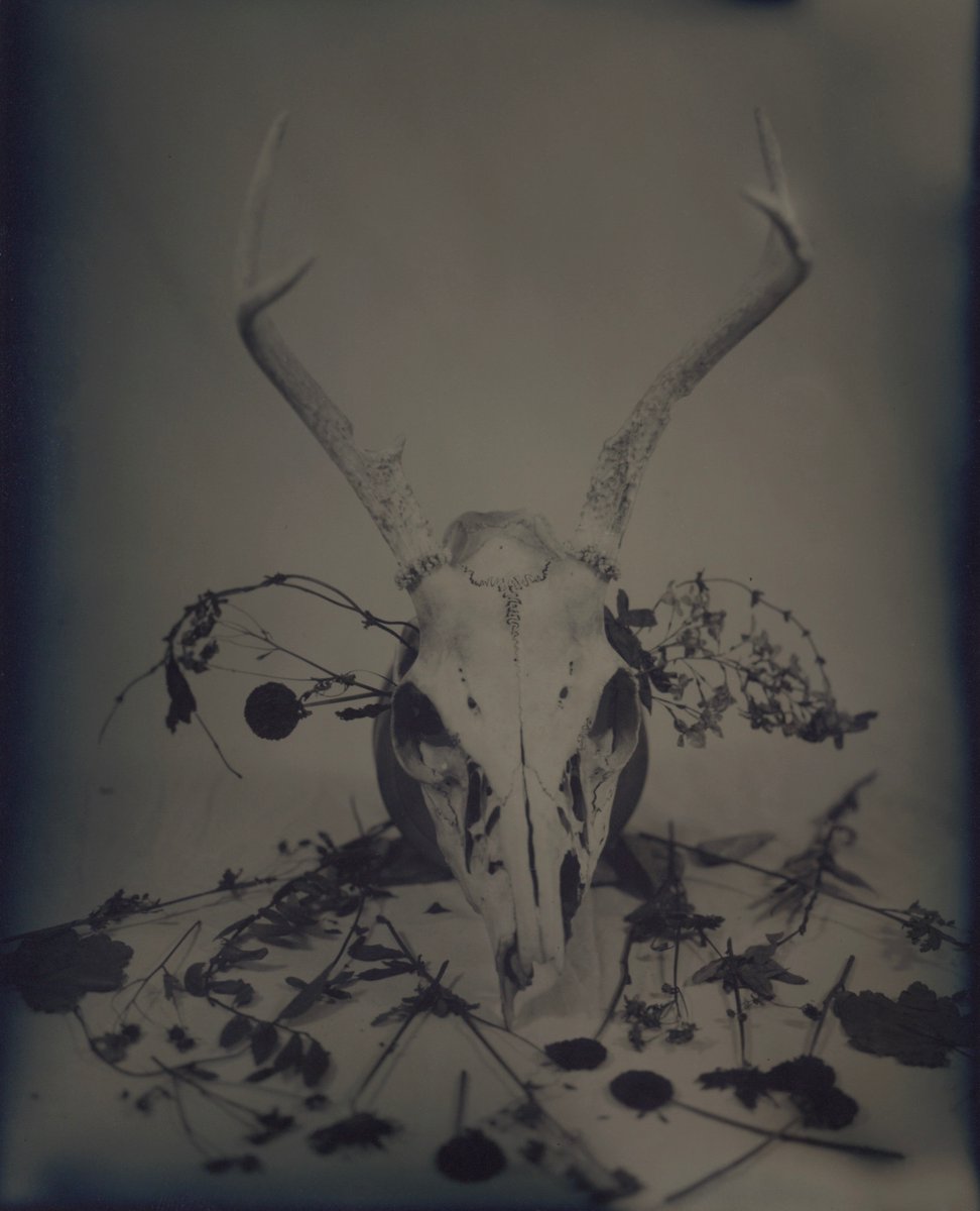 Fleisher Art Memorial tweet media