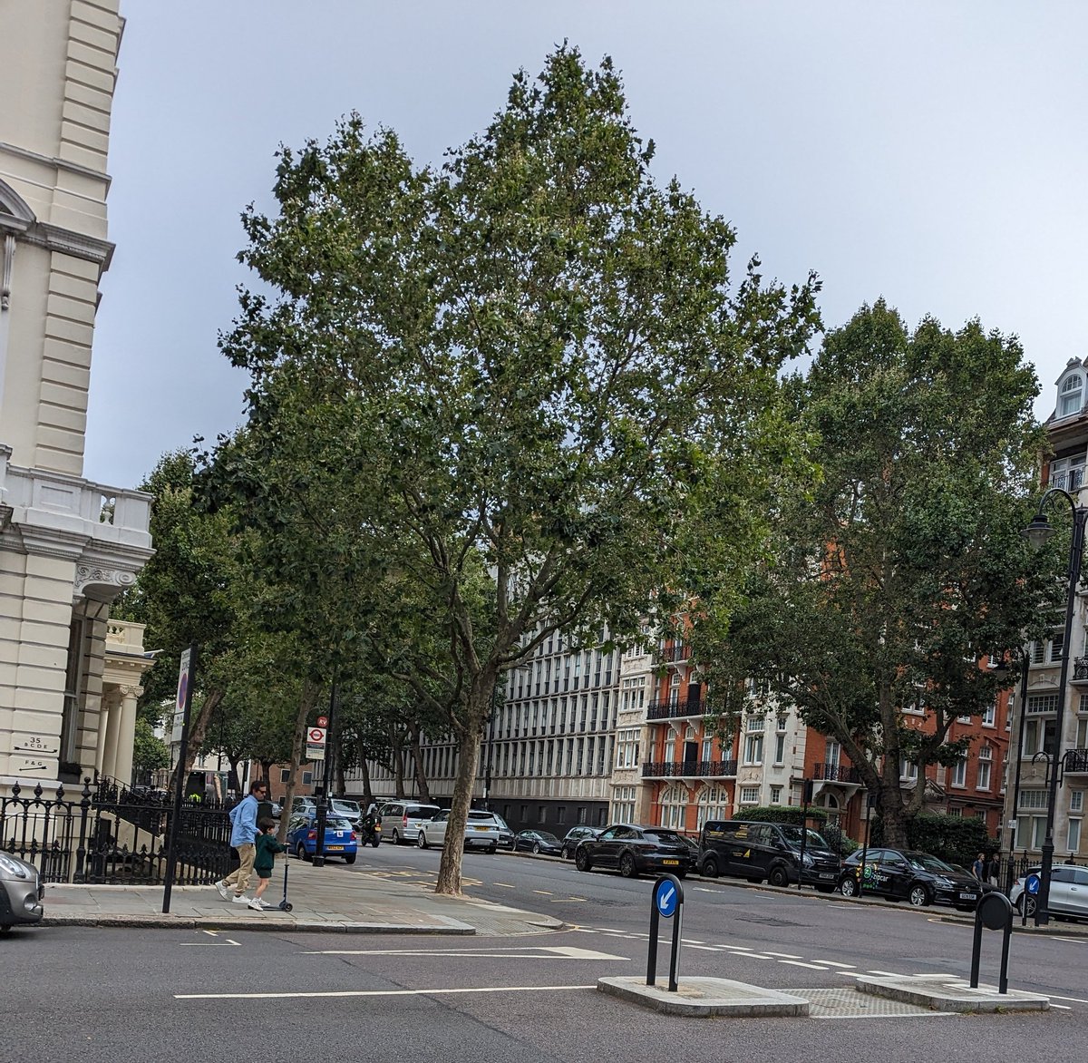 Hadeel Alnegheimish tweet media