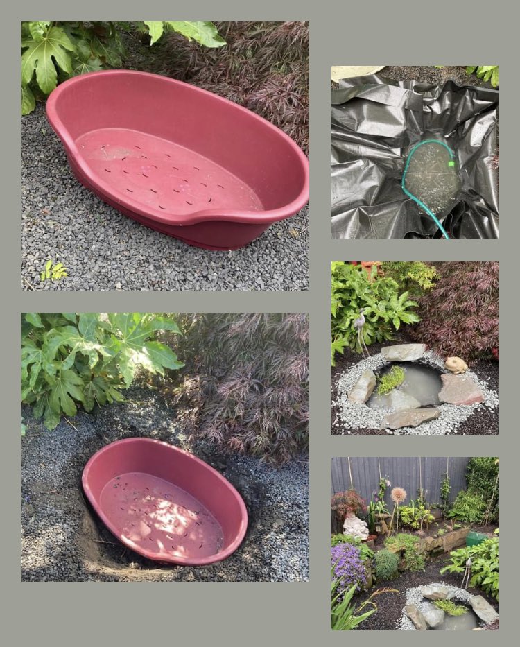 WarwickWawick's tweet photo. That’s the old dog bed upcycled to wildlife pool #FCUKCANCER #MOT #Gardeningmentalhealth #Frogslife https://t.co/QBxXKV5LkS